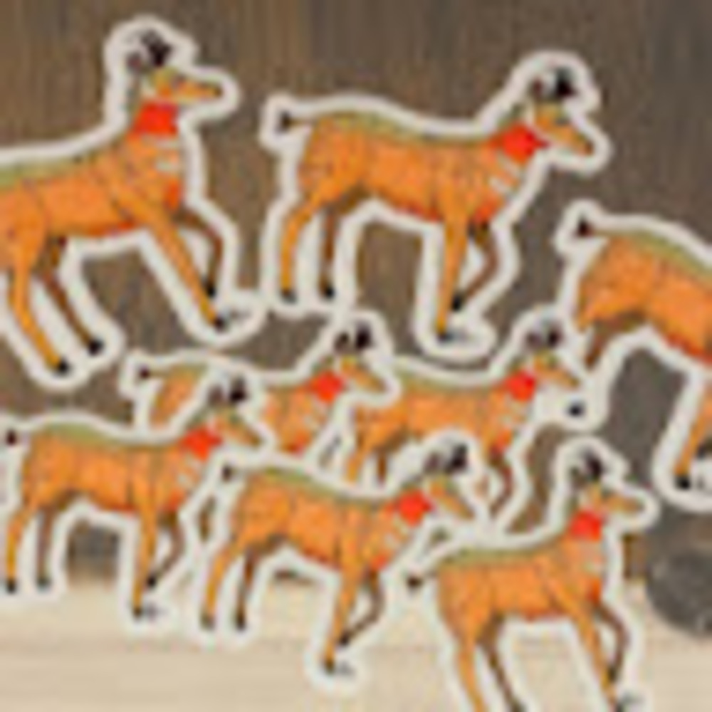 Meet your Posher, Hayley